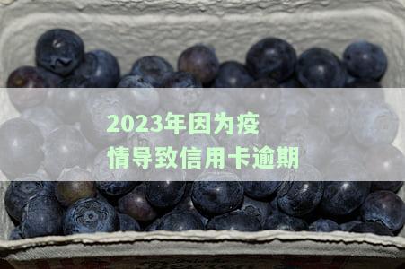 2023年疫情导致信用卡逾期：影响及应对措
