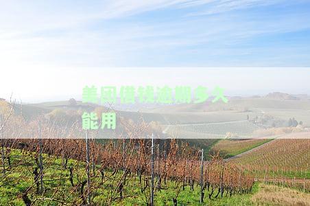 美团借钱：逾期几天再还，还能再借吗？安全吗？
