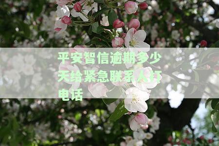 平安智贷逾期几天没接到电话?催收为何停止?是否可以不还?