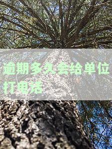 逾期多久会给单位打电话-逾期多久会给单位打电话催收