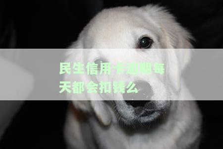 民生信用卡逾期多久会停卡，民生信用卡逾期多长时间会导致卡片被暂停使用？