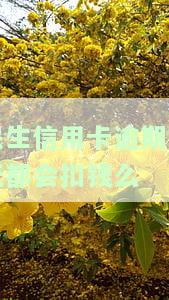 民生信用卡逾期：如何协商还款？多久会被起诉？会对信用有影响吗？多久会上征信？