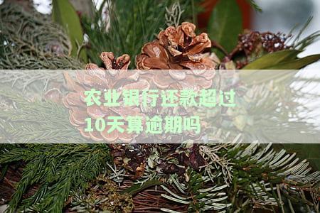 农业银行还款晚了一天怎么办，错过农业银行还款期限，如何处理？