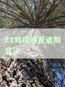 Excel如何设置超期天数：计算、显示与公式教程