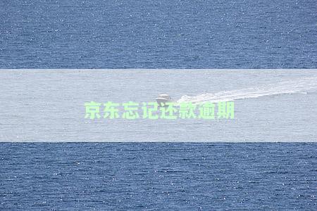 京东忘记还款了逾期一天会不会影响，京东逾期一天还款会影响信誉吗？