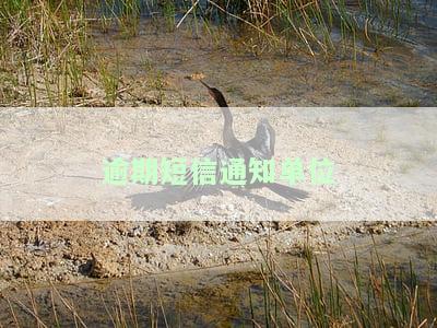 逾期短信通知单位怎么办？详解逾期短信通知、逾期通告短信及通知内容真伪，短信逾期告知函等内容
