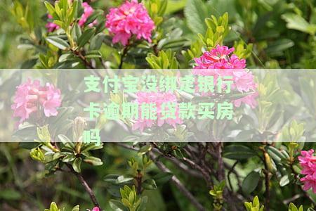支付宝没绑银行卡有什么影响，未绑定银行卡的支付宝账户：可能会遇到哪些问题？