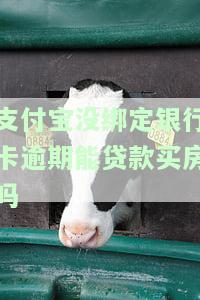 支付宝没绑定银行卡逾期能贷款买房吗