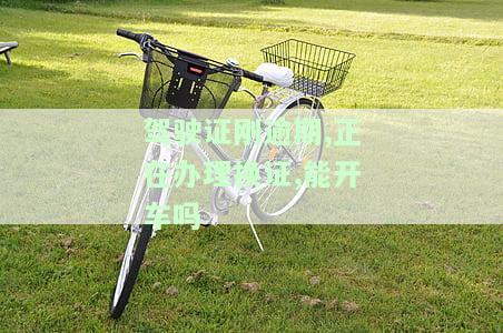 逾期换驾驶证能否处理违章？罚款金额及规定解析
