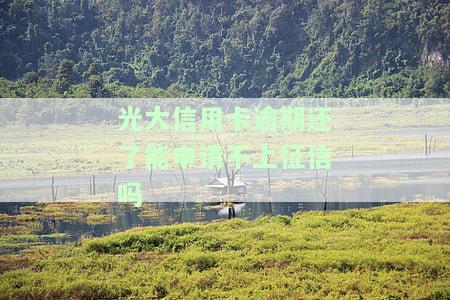 2020年光大信用卡逾期：接受不了还款方式，为何未接电话？2021年逾期怎么办？