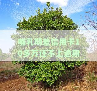 母乳期信用卡逾期还不上，母乳期妈妈信用卡逾期还款困难怎么办？