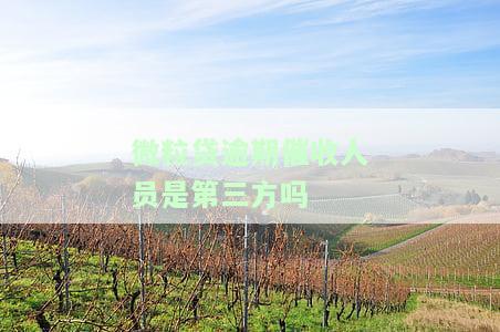 微粒贷的催收犯法吗，微粒贷催收是否违法？探讨相关法律法规与行为规