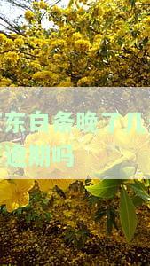 晚几天还会怎么样，晚还会有什么后果？