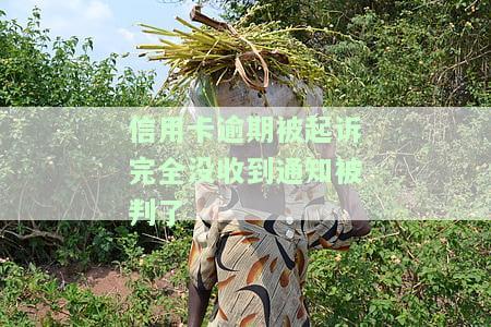 2020年信用卡逾期被起诉立案后怎么解决，信用卡逾期被起诉立案后：如何应对并解决问题？