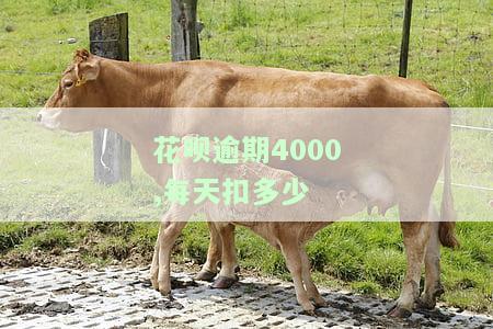 欠花呗4000多元逾期1年之后还,罚多少利息，逾期一年后归还4000多元花呗，需要支付多少罚息？