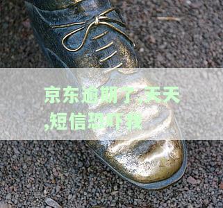 京东逾期了,天天,短信恐吓我会怎么样，遭遇京东逾期催收：天天被短信恐吓，我该怎么办？