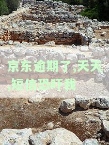 京东逾期发短信说不接受还款警察会来？真的会起诉吗？