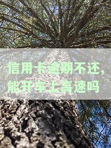 欠信用卡逾期可以坐火车吗，信用卡逾期未还是否会影响乘坐火车？