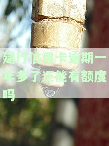 建行卡信用卡逾期一次会影响贷款吗，建行卡信用卡逾期一次会否影响贷款申请？