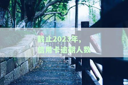 2021年信用卡逾期人数及金额统计：与2020年相比有何变化？