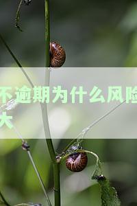 没逾期为什么，为何未逾期却遭遇问题？