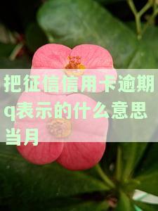 征信贷记卡逾期月份数是什么意思，什么是征信贷记卡逾期月份数？