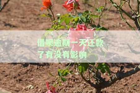 借呗逾期一天还款了有没有影响