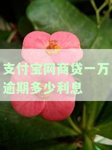 网商贷逾期一万多，会被告上法庭吗？该如何处理？