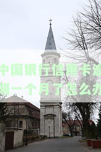 中国银行信用卡逾期一个月了怎么办-中国银行信用卡逾期一个月了怎么办理
