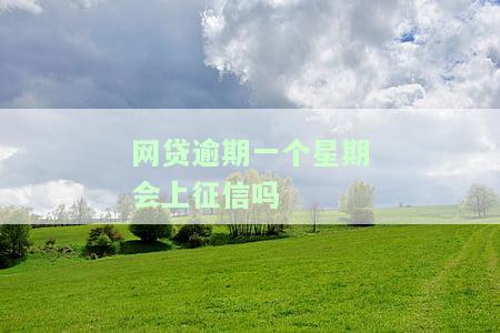 网贷逾期一个星期会上征信吗