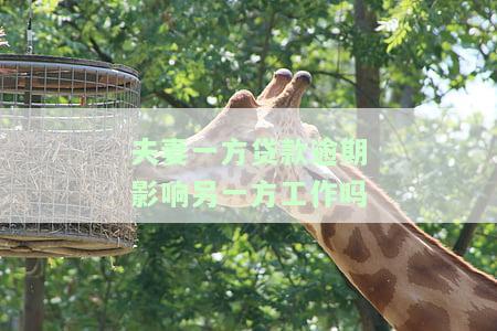 贷款夫妻一方有逾期，逾期还款？夫妻双方可能需要承担贷款责任！
