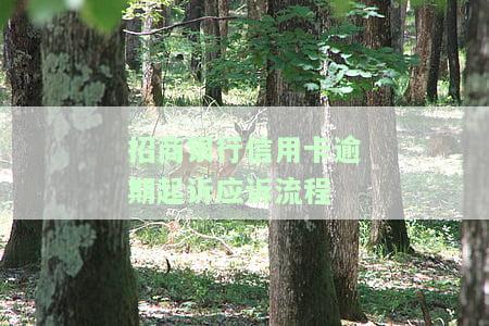 招商银行信用卡逾期起诉应诉流程-招商银行信用卡逾期起诉应诉流程图