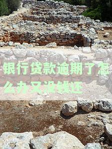 银行贷款逾期实在没钱还怎么办，无钱偿还银行贷款？教你应对逾期危机