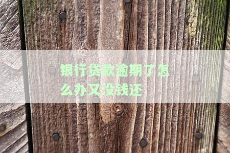 银行贷款逾期了怎么办又没钱还-平安银行贷款逾期了怎么办又没钱还