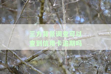 第三方背景调查会通知本人吗，第三方背景调查：是否会通知被调查人？