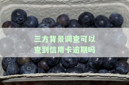 三方背景调查可以查到信用卡逾期吗-三方背景调查可以查到信用卡逾期吗