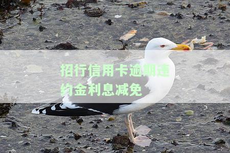 招行信用卡逾期违约金利息减免政策，好消息！招行推出信用卡逾期违约金利息减免政策，快来看看如何申请吧！