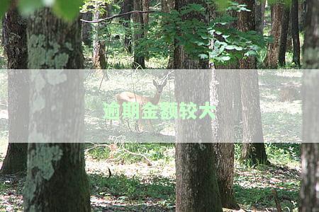 逾期金额较大的标准是多少，什么是逾期金额较大的标准？