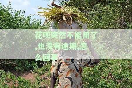花呗突然不能用了,也没有逾期,怎么回事