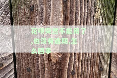 花呗突然不能用了,也没有逾期,怎么回事