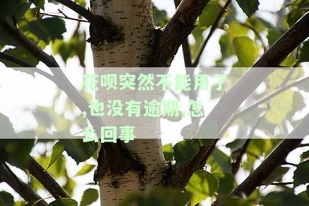 花呗突然不能用了,也没有逾期,怎么回事