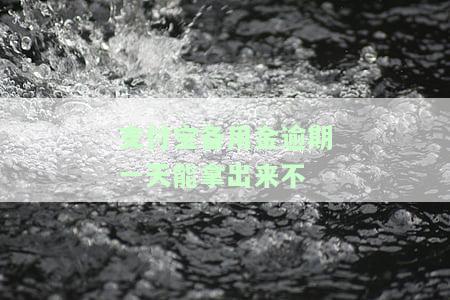 支付宝备用金逾期一天能拿出来不，支付宝备用金逾期一天，还能取出吗？