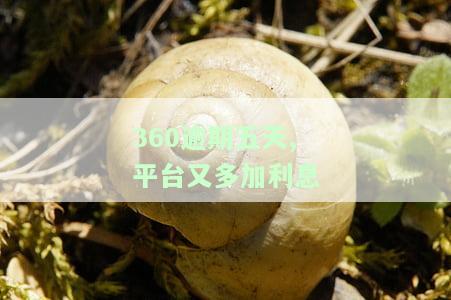 360逾期5天了还了以后还能借出来吗，360贷款逾期5天后还款，是否能再次借款？