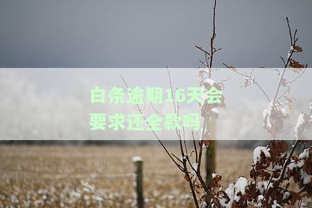 白条逾期16天会要求还全款吗怎么办，白条逾期16天，会被要求一次性还清吗？解决方案在这里！