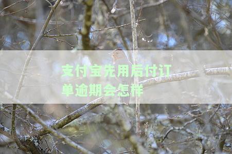 支付宝先用后付逾期上征信吗，关于支付宝先用后付逾期是否会上征信的疑问