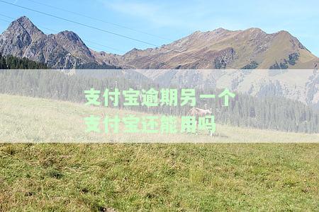 支付宝逾期另一个支付宝还能用吗安全吗，关于支付宝逾期：另一个支付宝能否使用？安全问题如何解决？