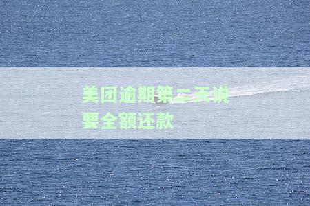 美团逾期第二天说要全额还款什么意思，美团逾期第二天要求全额还款，有何含义？