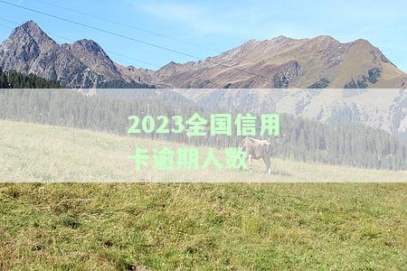 2023信用卡逾期人数大数据，揭秘2023年信用卡逾期人群大数据：趋势、原因与应对策略