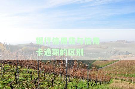 全面解析：银行信用贷与信用卡逾期的区别及后果