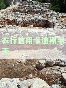 农行信用卡期还款：期限、申请方式及次数全解析